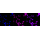 KD-Validated LRP8 Rabbit mAb (20 μl)