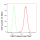 KD-Validated ERK1 Rabbit mAb (20 μl)