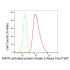 KD-Validated MAPKAPK2 Rabbit mAb (20 μl)