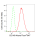 KD-Validated CD146 Rabbit mAb (20 μl)