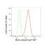 KD-Validated MLKL Rabbit mAb (20 μl)