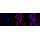 KD-Validated MLKL Rabbit mAb (20 μl)