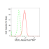 KD-Validated MLKL Rabbit mAb (20 μl)