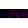 KD-Validated MLKL Rabbit mAb (20 μl)
