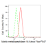 KD-Validated MMP14 Rabbit mAb (20 μl)