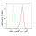 KD-Validated NEK7 Rabbit mAb (20 μl)