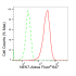 KD-Validated NEK7 Rabbit mAb (20 μl)