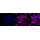 KD-Validated NEK7 Rabbit mAb (20 μl)