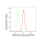 KD-Validated PAFAH1B1 Rabbit mAb (20 μl)