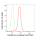 KD-Validated Paired box 6 Rabbit mAb (20 μl)