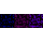 KD-Validated Paired box 6 Rabbit mAb (20 μl)