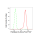 KD-Validated PEPD Rabbit mAb (20 μl)