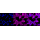 KD-Validated PEPD Rabbit mAb (20 μl)