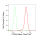 KD-Validated PFKM Rabbit mAb (20 μl)