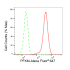 KD-Validated PFKM Rabbit mAb (20 μl)