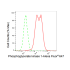 KD-Validated PGK1 Rabbit mAb (20 μl)