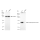 KD-Validated PGK1 Rabbit mAb (20 μl)