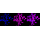 KD-Validated PLAA Rabbit mAb (20 μl)