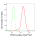 KD-Validated PPM1G Rabbit mAb (20 μl)