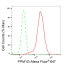 KD-Validated PPM1G Rabbit mAb (20 μl)