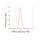 KD-Validated PPM1G Rabbit mAb (20 μl)