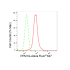 KD-Validated PPM1G Rabbit mAb (20 μl)
