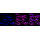 KD-Validated PPM1G Rabbit mAb (20 μl)