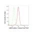 KD-Validated AMPKA1 Rabbit mAb (20 μl)