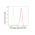 KD-Validated PRKCD Rabbit mAb (20 μl)