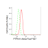 KD-Validated PTPN11 Rabbit mAb (20 μl)