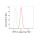KD-Validated PTPN11 Rabbit mAb (20 μl)