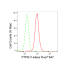 KD-Validated PTPN11 Rabbit mAb (20 μl)