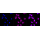 KD-Validated PVR Rabbit mAb (20 μl)