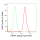KD-Validated PWP1 Rabbit mAb (20 μl)