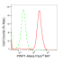 KD-Validated PWP1 Rabbit mAb (20 μl)