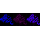 KD-Validated PWP1 Rabbit mAb (20 μl)