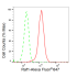 KD-Validated Raf1 Rabbit mAb (20 μl)