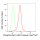 KD-Validated Phospho-Raf1 (S621) Rabbit mAb (20 μl)