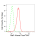 KD-Validated Raf1 Rabbit mAb (20 μl)