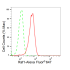 KD-Validated Raf1 Rabbit mAb (20 μl)