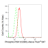 KD-Validated Phospho-RSK1 (S380) Rabbit mAb (20 μl)