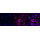 KD-Validated Phospho-RSK1 (S380) Rabbit mAb (20 μl)