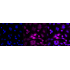 KD-Validated Phospho-RSK1 (S380) Rabbit mAb (20 μl)