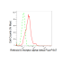KD-Validated RXRA Rabbit mAb (20 μl)