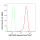 KD-Validated SEC24D Rabbit mAb (20 μl)