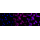 KD-Validated SEC24D Rabbit mAb (20 μl)