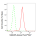 KD-Validated SMAD5 Rabbit mAb (20 μl)
