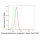 KD-Validated STIM1 Rabbit mAb (20 μl)