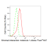 KD-Validated STIM1 Rabbit mAb (20 μl)
