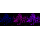 KD-Validated STIM1 Rabbit mAb (20 μl)
